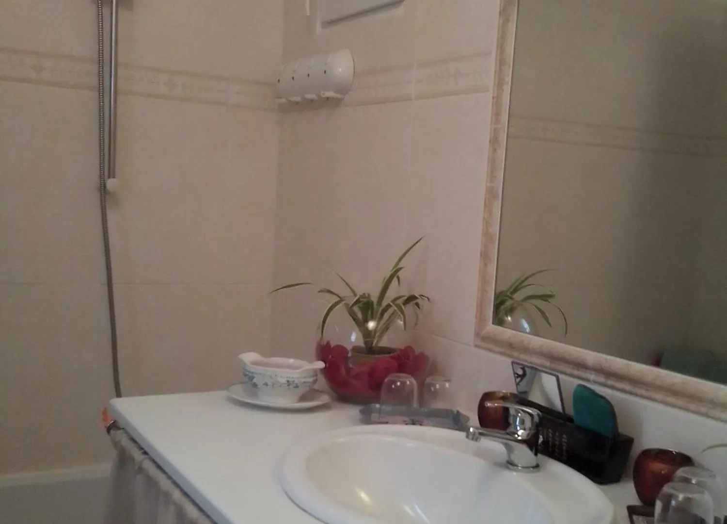 Appartement Le Chausse A Bres Chambre D'Hotes 2 Payzac  France